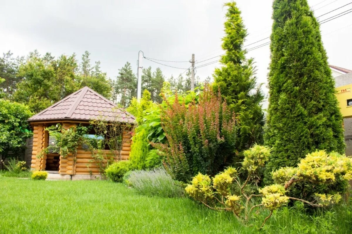 https://doneck.tgv-stroy.ru/storage/app/uploads/public/637/ef4/fb3/637ef4fb3605f391429275.png